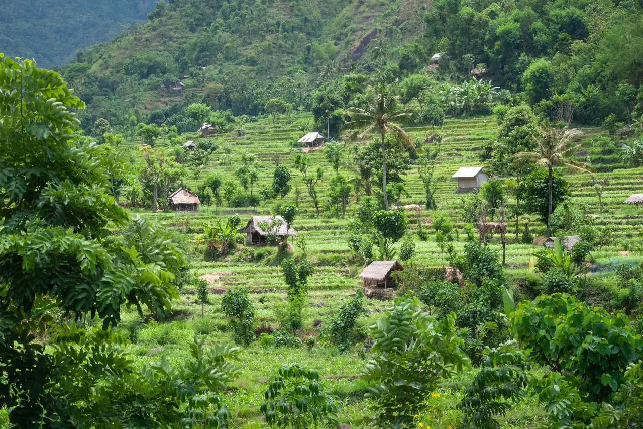 Indonezia